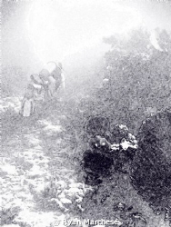 The subject was my dive buddy swimming away from me amid ... by Ryan Marchese 